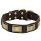 Handcrafted Leather Dog Collar with Brass Plates