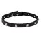 "A La Mode" 3/4 Inch (20 mm) Wide Studded Leather Dog Collar for Walking in Style