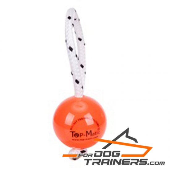 Dog Magnetic Ball Ideal for Professional Training