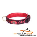 "Antique Fashion" Fancy Leather Dog Collar with Brass Decorations