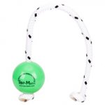 "Favorite Toy" Green Plastic Dog Ball with a Magnet Inside - 2 1/3 Inches Diameter