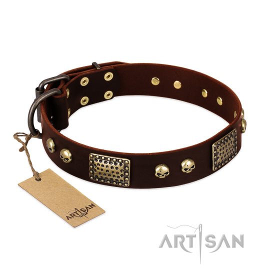 "Magic Amulet" Brown Leather Dog Collar with Skulls and Plates