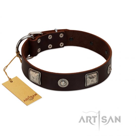 "Gothic Adornments" FDT Artisan Amazing Brown Leather Dog Collar with Silver-Like Adornments