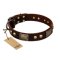 "Magic Amulet" Brown Leather Dog Collar with Skulls and Plates