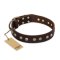 "Bronze Sheen" FDT Artisan Leather Dog Collar with Brass-Plated Studs