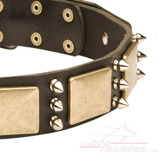 Custom Leather Dog Collar with Sparkling Spikes and Old-looking Plates