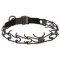 Black Stainless Steel Dog Pinch Collar with Click Lock Buckle - 1/8 inch (3.2 mm) link diameter Black Stainless Steel Dog Pinch Collar with Click Lock Buckle - 1/8 inch (3.2 mm) link diameter
