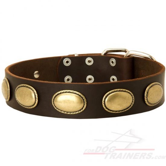 Retro Rulz - Vintage Dog Leather Collar