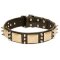 Custom Leather Dog Collar with Sparkling Spikes and Old-looking Plates