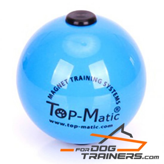 Blue Toy Ball with Magnet Made with High-Quality Plastic