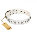 "Fashion Star" FDT Artisan White Leather Dog Collar with Silver-Like Engraved Plates and Stars