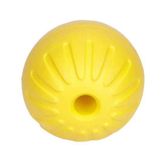 FDT Lightweight Floatable Hard Ball for Dog Training