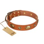 "Visual Magic" FDT Artisan Tan Leather Dog Collar for Daily Activities