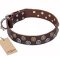 "Strong Shields" FDT Artisan Leather Dog Collar with Stylish Decorations
