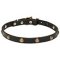 'Elegant Beauty' Fashion Leather Dog Collar with Brass Hardware 4/5 inch (20 mm) Wide