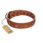"Star Shine" Exclusive FDT Artisan Tan Leather Dog Collar with Silver-Like Adornments