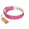 "Treasure Island" FDT Artisan Pink Leather Dog Collar with Silver-Like Studs