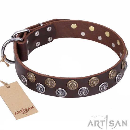 "Strong Shields" FDT Artisan Leather Dog Collar with Stylish Decorations