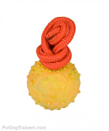2 1/3 inch Hollow Rubber Dog Ball Medium Size on String - TT2 2 1/3 inch Hollow Rubber Dog Ball Medium Size on String - TT2