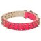 Pink Leather Dog Collar with Nickel Spikes for Daily Walking