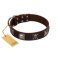 "Nut-Brown Finery" Embellished FDT Artisan Brown Leather Dog Collar with Chrome Plated Crossbones and Plates