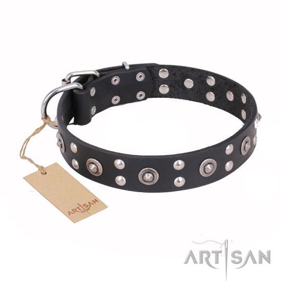 "Refined Essence" FDT Artisan Black Leather Dog Collar with Silvery Studs