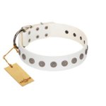 "Aztec Idol" FDT Artisan White Leather Dog Collar with Ancient Brooches