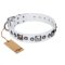 "Lustre of Fame" FDT Artisan White Studded Leather Dog Collar