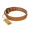 "Autumn Story" FDT Artisan Leather Dog Collar with Old Bronze Look Studs