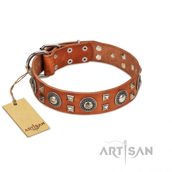"Natural Beauty" FDT Artisan Beautiful Natural Leather Dog Collar with Silver-Like Decorations