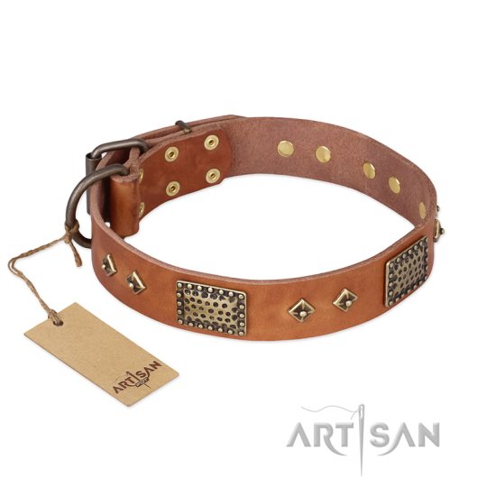 "Catchy Look" FDT Artisan Decorated Tan Leather Dog Collar