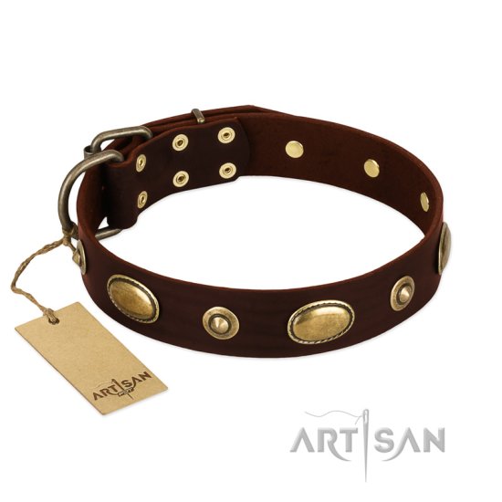 "Hebe's Jewel" FDT Artisan Brown Genuine Leather Dog Collar - Click Image to Close