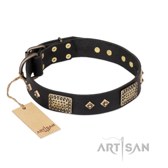 "Jewel Passion" FDT Artisan Fashionable Black Leather Dog Collar
