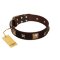 "Choco Dreams" FDT Artisan Brown Leather Dog Collar with Squares and Stars