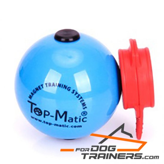 Best Quality Blue Magnetic Ball for Perfect Training