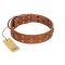"Dreamy Gleam" FDT Artisan Tan Leather Dog Collar Adorned with Stars and Squares