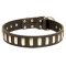 Wide Leather Dog Collar with Goldish Smooth Plates