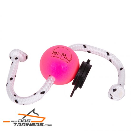 "Pink Happiness" Magnetic Dog Ball for Professional Training