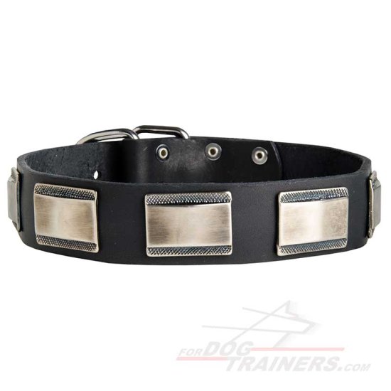 Royal Plated Leather Dog Collar for Walking and Basic Training