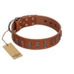 "Silver Century" Fashionable FDT Artisan Tan Leather Dog Collar with Silver-Like Plates