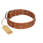 "Dreamy Gleam" FDT Artisan Tan Leather Dog Collar Adorned with Stars and Squares
