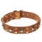 'Rock n Roll' Leather Dog Collar - Cool Mix of Decorations