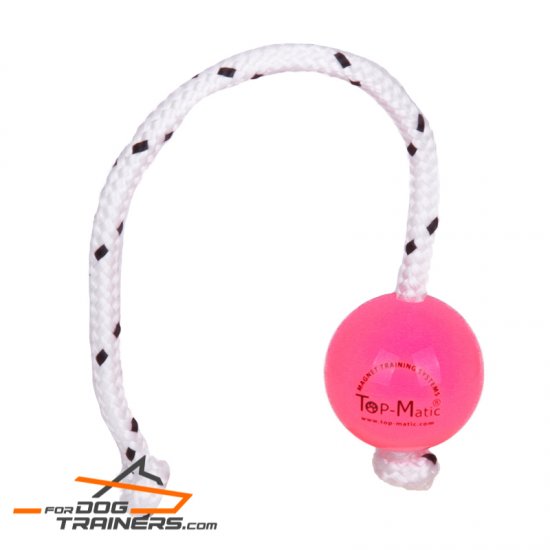 Pink Fun Puppy Ball for Professional Training