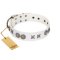 "Seventh Heavens" FDT Artisan White Leather Dog Collar with Chrome-plated Stars and Engraved Brooches