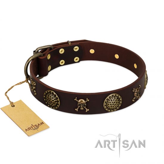 "Horribly Attractive" FDT Artisan Fancy Brown Leather Dog Collar with Brass Decorations