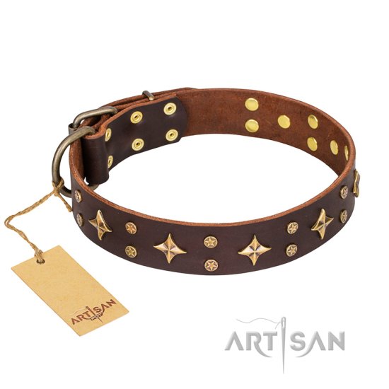 "High Fashion" FDT Artisan Embellished Brown Leather Dog Collar