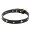"Rock the Goth" Leather Dog Collar with Brass Spikes and Skulls