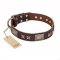 "Sparkling Bronze" FDT Artisan Genuine Leather Dog Collar with Bronze Look Stars and Plates
