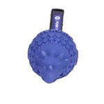 "Triceratops" Best Quality Rubber Blue Dog Toy for Having Fun
