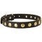 Exclusive Design Leather Dog Collar with Brass Circular Studs